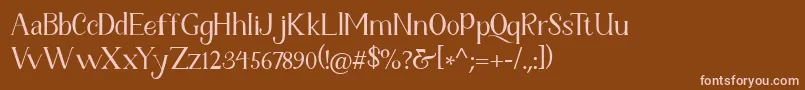 Fetance Reguler Font – Pink Fonts on Brown Background