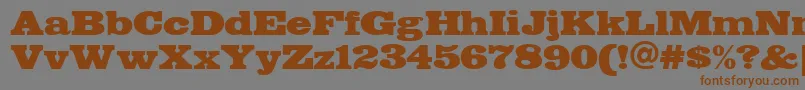 FETTE    Font – Brown Fonts on Gray Background