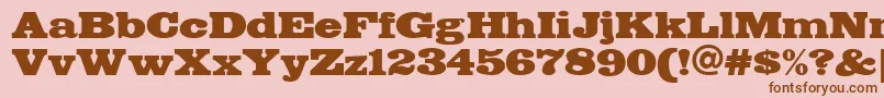 FETTE    Font – Brown Fonts on Pink Background