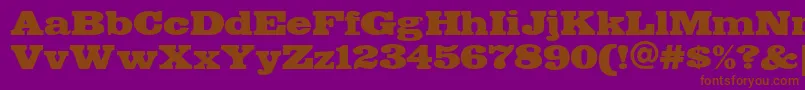 FETTE    Font – Brown Fonts on Purple Background