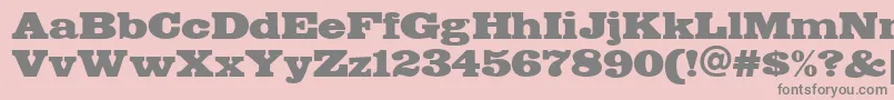 FETTE    Font – Gray Fonts on Pink Background