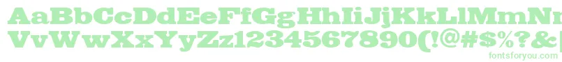 FETTE    Font – Green Fonts on White Background