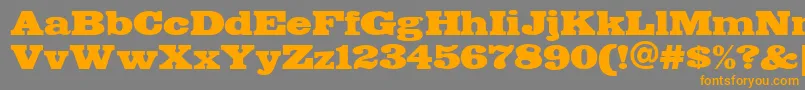 FETTE    Font – Orange Fonts on Gray Background