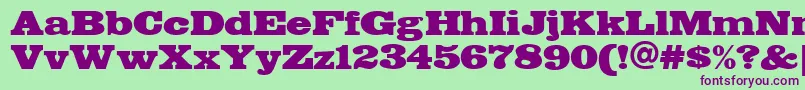 FETTE    Font – Purple Fonts on Green Background