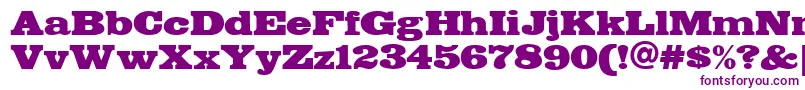 FETTE    Font – Purple Fonts on White Background