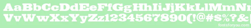 FETTE    Font – White Fonts on Green Background