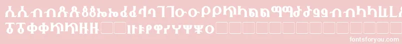Fhokki Font – White Fonts on Pink Background