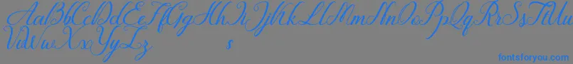 Police Fiction – polices bleues sur fond gris