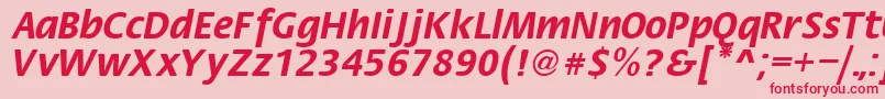 Fiesta Font – Red Fonts on Pink Background