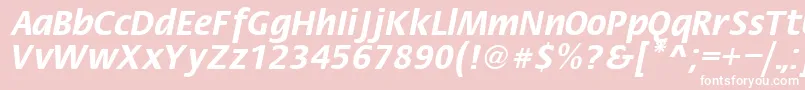 Fiesta Font – White Fonts on Pink Background