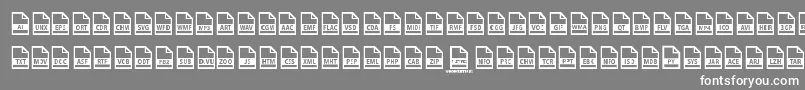 フォントFile Types – 灰色の背景に白い文字