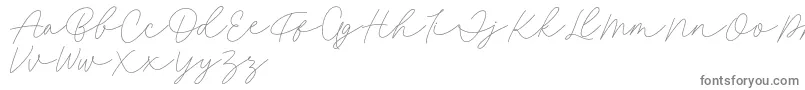 フォントFillia Script FREE – 白い背景に灰色の文字