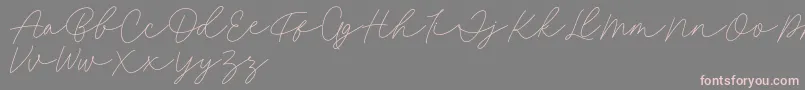 Fillia Script FREE-Schriftart – Rosa Schriften auf grauem Hintergrund