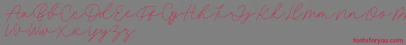 Fillia Script FREE Font – Red Fonts on Gray Background