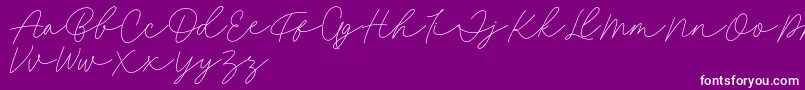 Fillia Script FREE-Schriftart – Weiße Schriften auf violettem Hintergrund