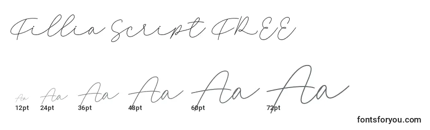 Fillia Script FREE Font Sizes