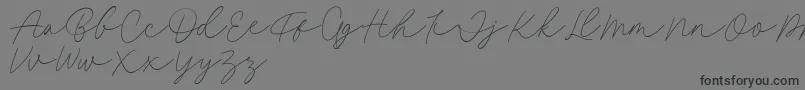 Fillia Script FREE Font – Black Fonts on Gray Background