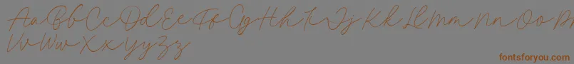 Weitere Informationen zur Fillia Script FREE-Schriftart Fillia Script FREE-Schriftart – Braune Schriften auf grauem Hintergrund