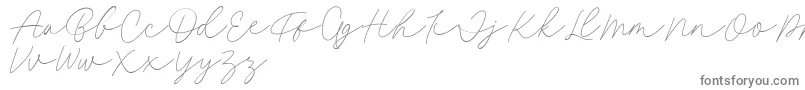 Fillia Script FREE Font – Gray Fonts on White Background