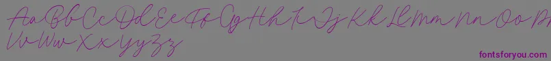Fillia Script FREE Font – Purple Fonts on Gray Background