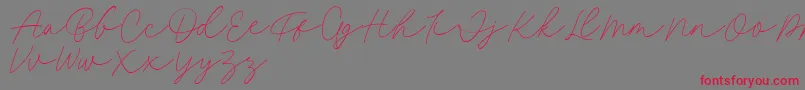 Fillia Script FREE Font – Red Fonts on Gray Background