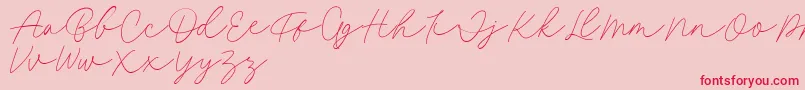Fillia Script FREE Font – Red Fonts on Pink Background