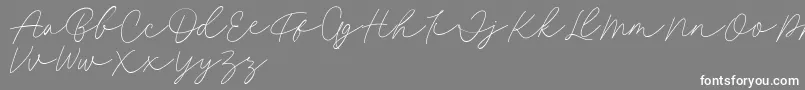 Fillia Script FREE Font – White Fonts on Gray Background