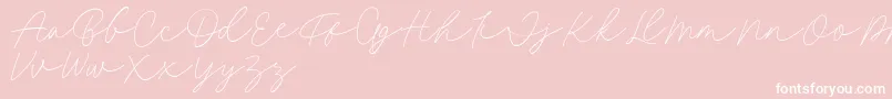 Fillia Script FREE-Schriftart – Weiße Schriften auf rosa Hintergrund