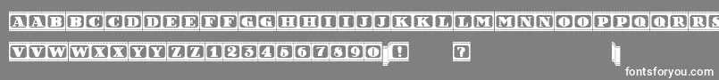 FilmLetters Font – White Fonts on Gray Background