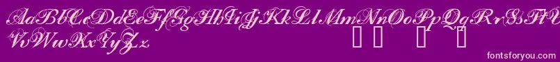 FILOM    Font – Pink Fonts on Purple Background