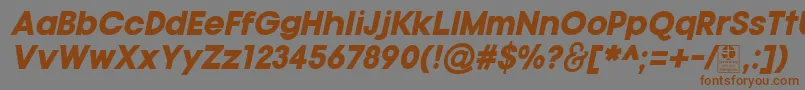 TypoGotikaBlackItalicDemo Font – Brown Fonts on Gray Background