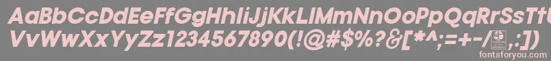 TypoGotikaBlackItalicDemo Font – Pink Fonts on Gray Background