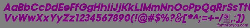 Czcionka TypoGotikaBlackItalicDemo – fioletowe czcionki na szarym tle