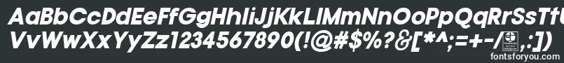 フォントTypoGotikaBlackItalicDemo – 黒い背景に白い文字