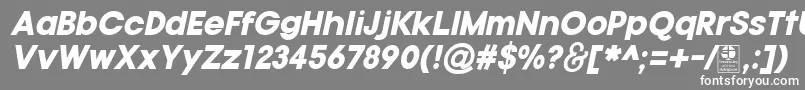 TypoGotikaBlackItalicDemo-fontti – valkoiset fontit harmaalla taustalla