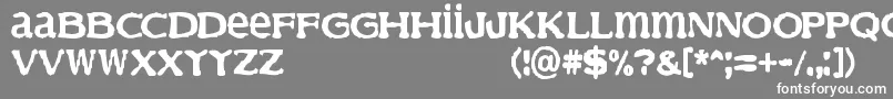 フォントFinder – 灰色の背景に白い文字