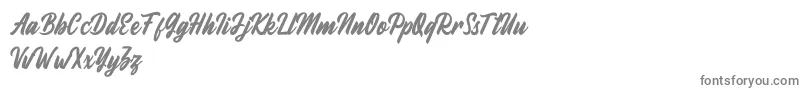 Fineberg Demo Font – Gray Fonts on White Background