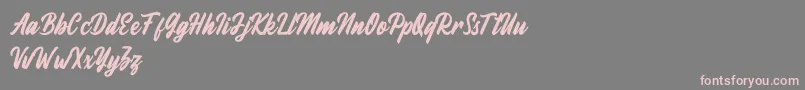 Fineberg Demo Font – Pink Fonts on Gray Background