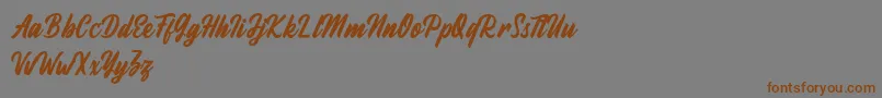 Fineberg Demo Font – Brown Fonts on Gray Background