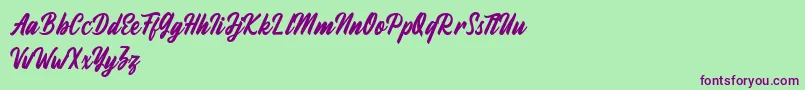 Fineberg Demo Font – Purple Fonts on Green Background
