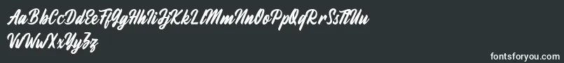 Fineberg Demo Font – White Fonts on Black Background