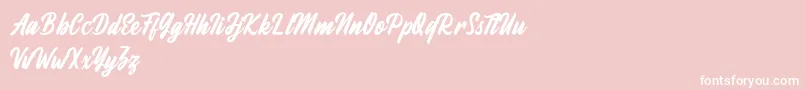Fineberg Demo Font – White Fonts on Pink Background
