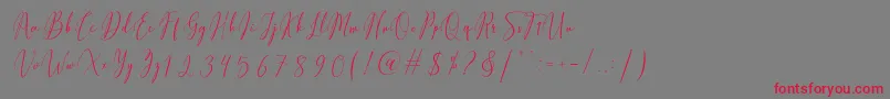 Fiolenitta Font – Red Fonts on Gray Background