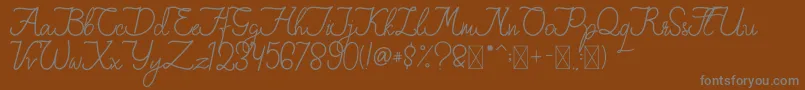 FionaLattina Font – Gray Fonts on Brown Background