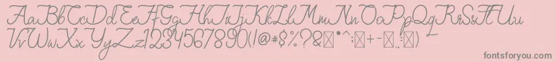 FionaLattina Font – Gray Fonts on Pink Background