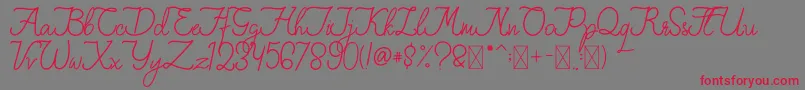 FionaLattina Font – Red Fonts on Gray Background