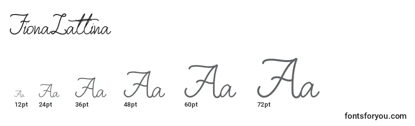 FionaLattina Font Sizes