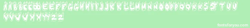 FLAMER Font – White Fonts on Green Background