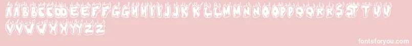 FLAMER Font – White Fonts on Pink Background