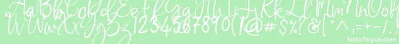 Flaming Carrot Font – White Fonts on Green Background